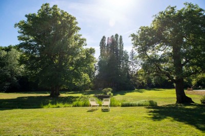 Paysage verdoyant avec arbres feuillus, pelouse ensoleillée et petit pont en pierre près d'un ruisseau.