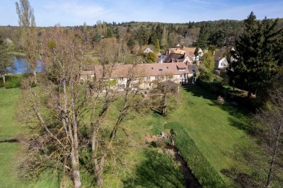 Paysage verdoyant avec arbres feuillus, pelouse ensoleillée et petit pont en pierre près d'un ruisseau.