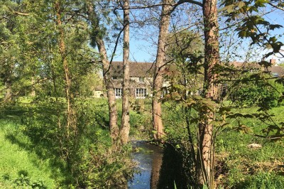 Paysage verdoyant avec arbres feuillus, pelouse ensoleillée et petit pont en pierre près d'un ruisseau.