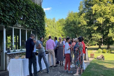 Paysage verdoyant avec arbres feuillus, pelouse ensoleillée et petit pont en pierre près d'un ruisseau.