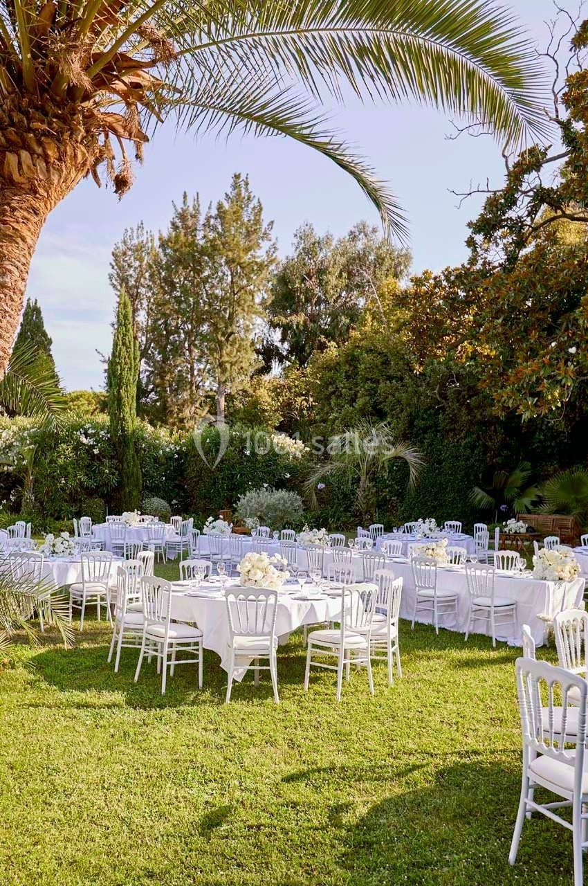 Tables rondes dressées avec nappes blanches et chaises blanches disposées dans un jardin verdoyant sous des palmiers.