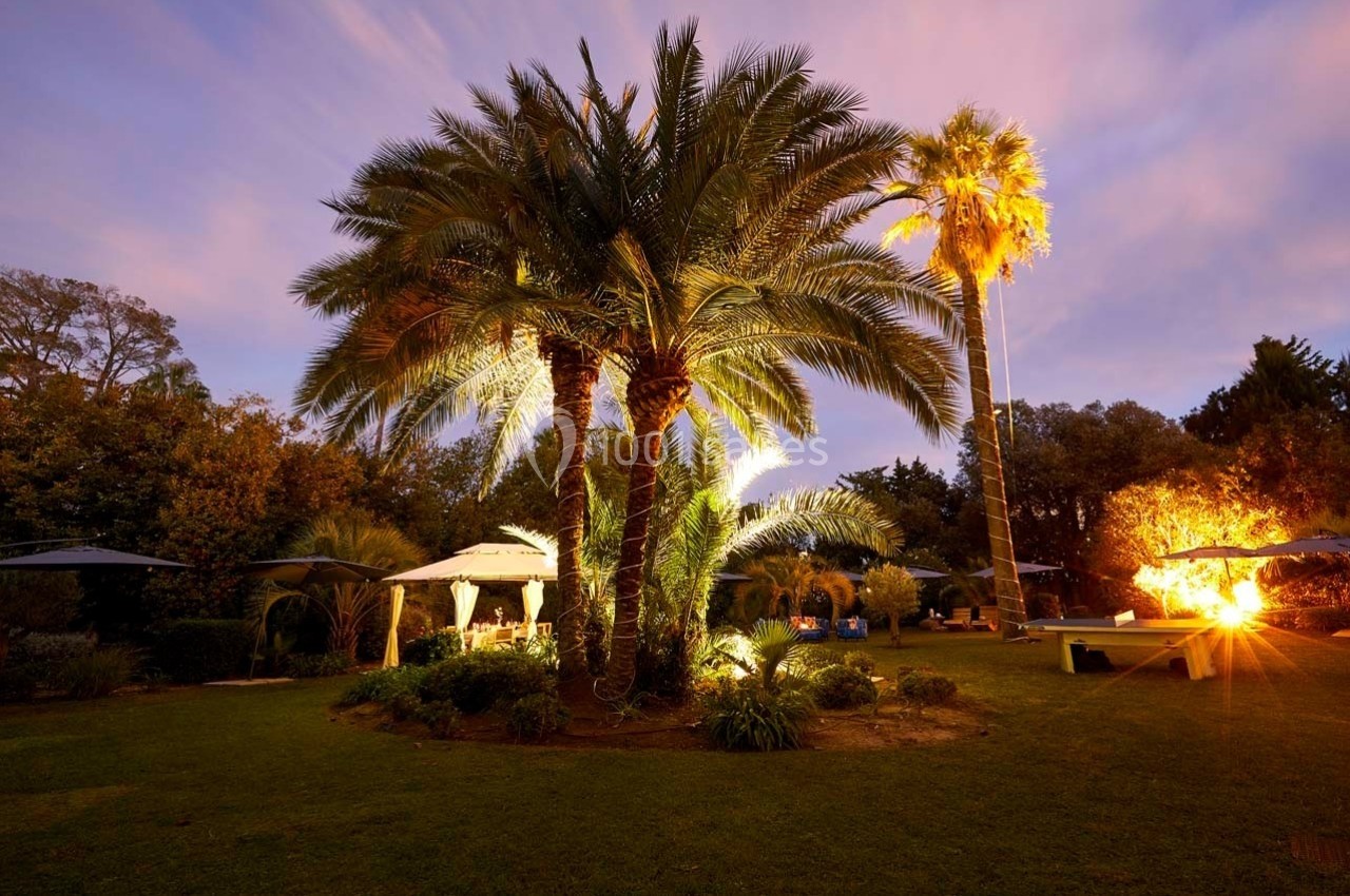 Jardin éclairé au crépuscule avec des palmiers, des arbustes et un espace aménagé sous une tente blanche.