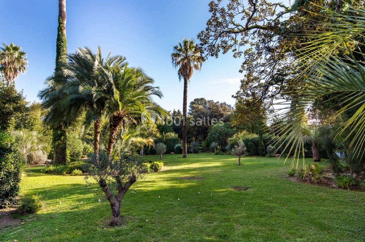 Jardin verdoyant avec pelouse, palmiers et arbres variés sous un ciel dégagé.