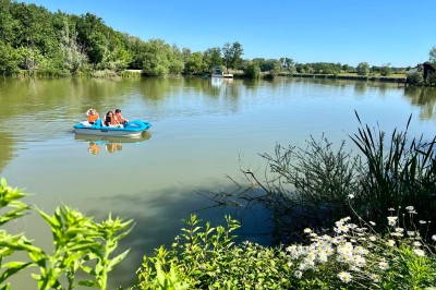Espace extérieur avec fauteuils en bois, table ronde, et un van rétro bleu stationné en arrière-plan.