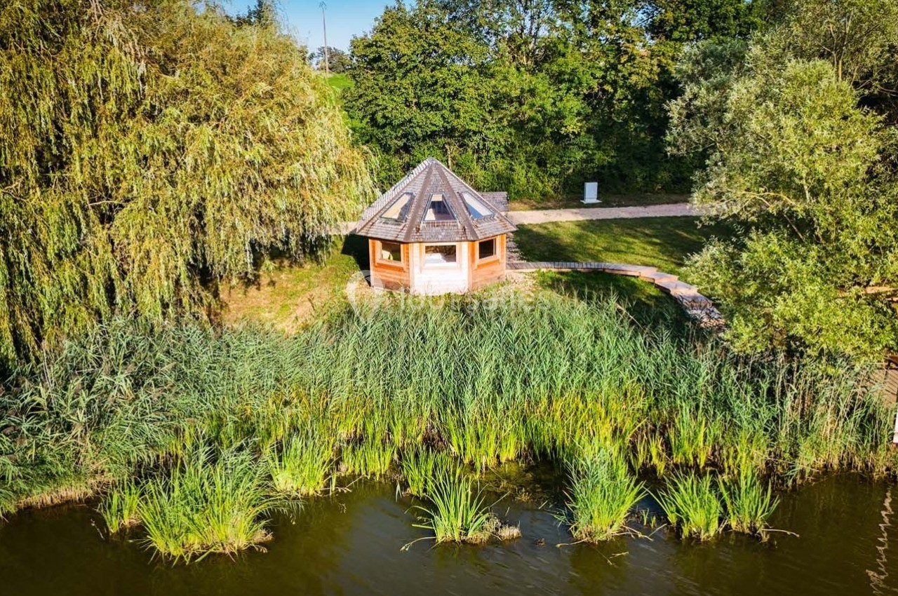 Abri en bois avec toit en pente entouré de végétation dense, au bord d'un plan d'eau calme.