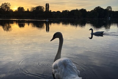 Le Chalet des Etangs Le Chalet des Etangs