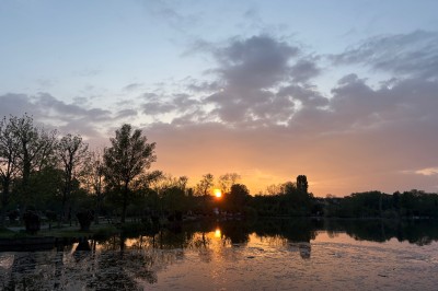Table dressée avec une nappe blanche, couverts, verres, centre de table floral et vue sur un paysage extérieur verdoyant.