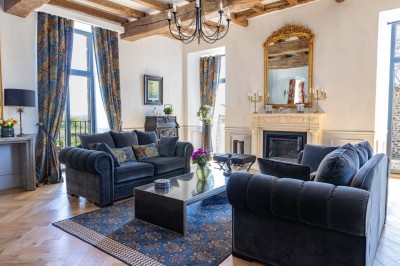 Chien gris debout sur une pelouse, regardant sur le côté, avec des arbres et une clôture en arrière-plan.