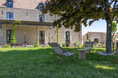 Chien gris debout sur une pelouse, regardant sur le côté, avec des arbres et une clôture en arrière-plan.