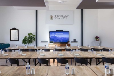Chien gris debout sur une pelouse, regardant sur le côté, avec des arbres et une clôture en arrière-plan.