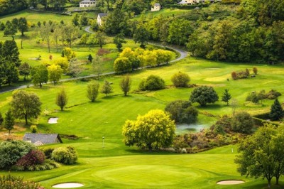Tranche d'ananas grillée sur un biscuit, garnie de glace vanille, zestes de citron et piments rouges décoratifs.