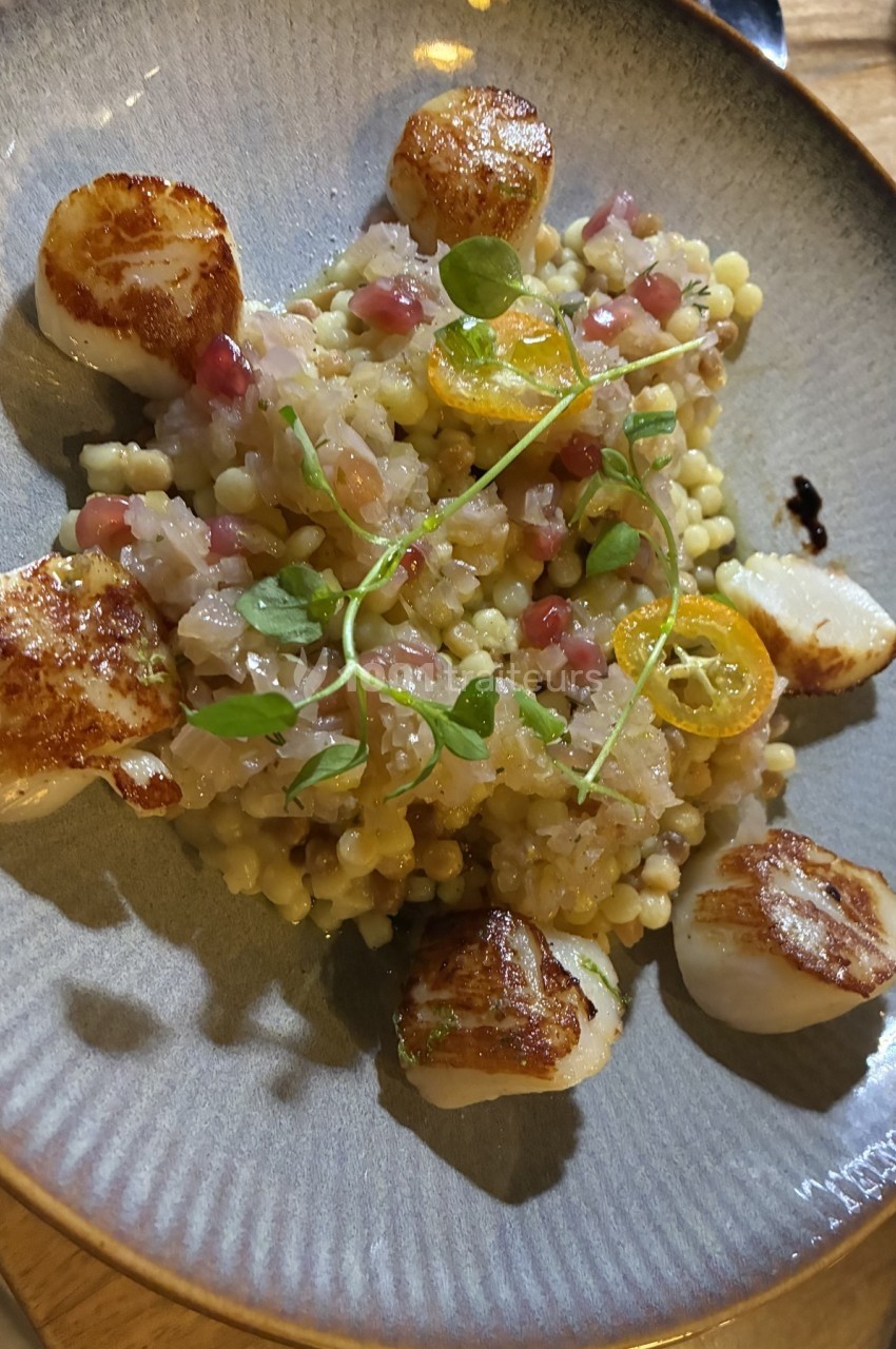 Assiette de noix de Saint-Jacques poêlées servies avec un risotto de fregola, grenade et micro-pousses.
