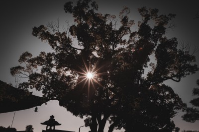 Femme assise dans une lumière tamisée, entourée de verres, regardant vers l'objectif.