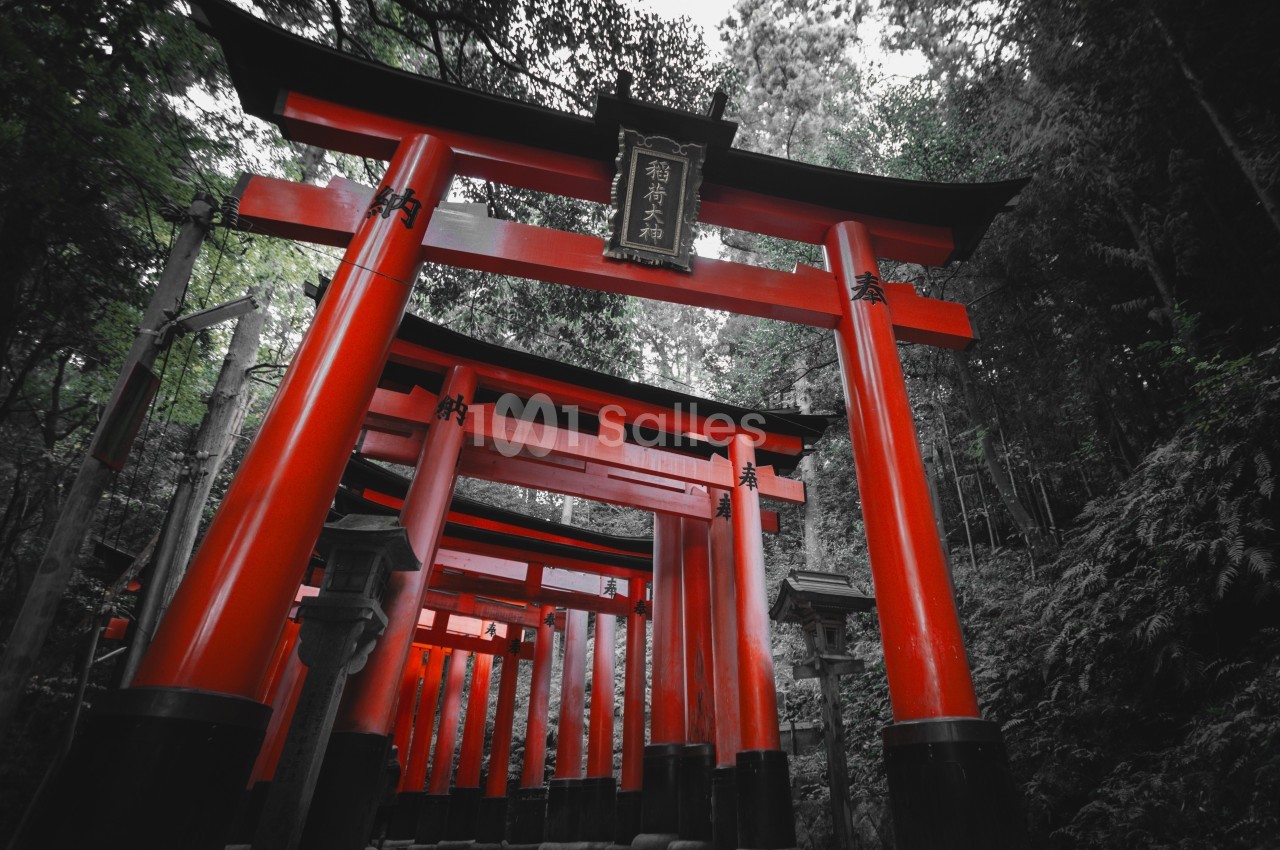 Allée de torii rouges dans une forêt dense, menant à un sanctuaire japonais.