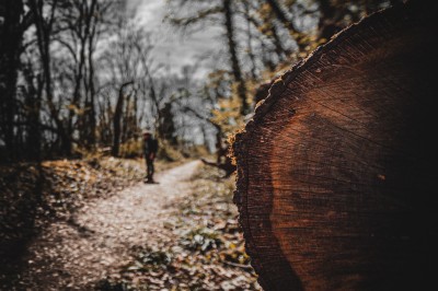 Femme assise dans une lumière tamisée, entourée de verres, regardant vers l'objectif.