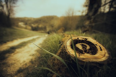 Femme assise dans une lumière tamisée, entourée de verres, regardant vers l'objectif.