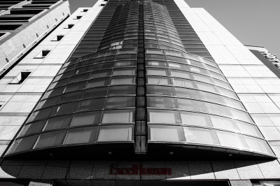 Chat tigré beige et brun bâillant, allongé sur un fauteuil bleu dans un intérieur lumineux.