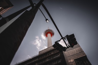 Chat tigré beige et brun bâillant, allongé sur un fauteuil bleu dans un intérieur lumineux.