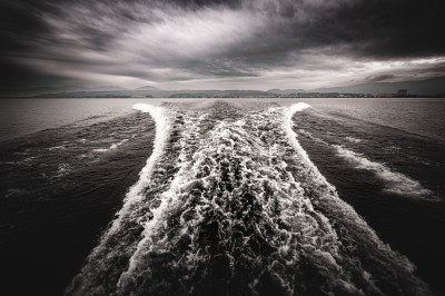 Chat tigré beige et brun bâillant, allongé sur un fauteuil bleu dans un intérieur lumineux.