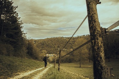 Chat tigré beige et brun bâillant, allongé sur un fauteuil bleu dans un intérieur lumineux.