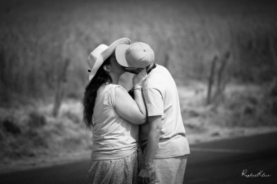 Chat tigré beige et brun bâillant, allongé sur un fauteuil bleu dans un intérieur lumineux.
