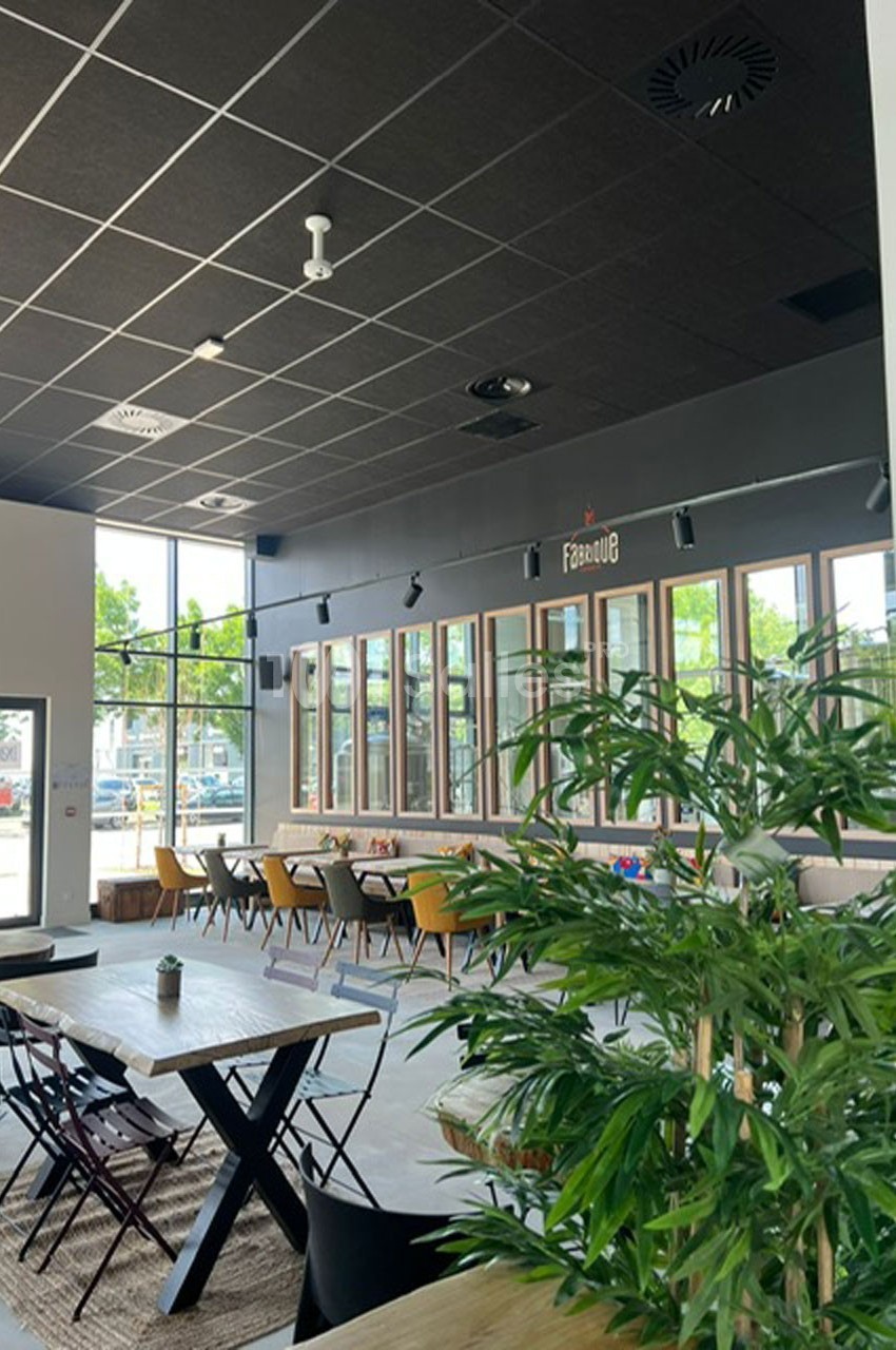 Salle lumineuse avec de grandes fenêtres, mobilier en bois et plantes, offrant un espace convivial et moderne.