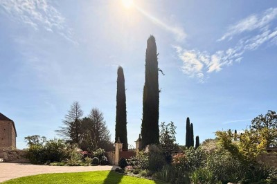 Miniature Location salle Magny (Yonne) - Château de Marrault #8 Salle de réception élégante avec tables décorées, nappes blanches, chandeliers dorés, fleurs rouges et tapis rouge.