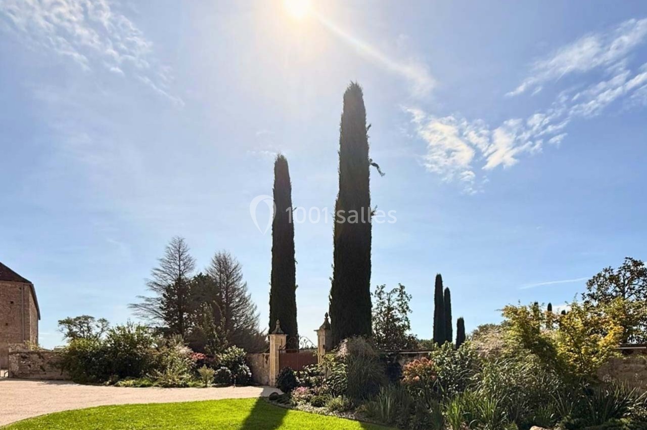 Pelouse verdoyante bordée de cyprès sous un ciel ensoleillé avec quelques nuages légers.