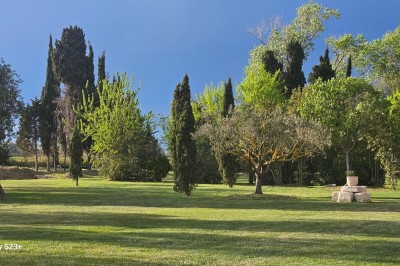 Cour extérieure d'une maison en pierre avec un arbre central, une véranda et des espaces aménagés sous un ciel dégagé.