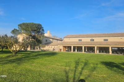 Cour extérieure d'une maison en pierre avec un arbre central, une véranda et des espaces aménagés sous un ciel dégagé.