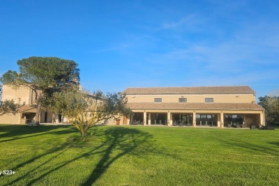 Cour extérieure d'une maison en pierre avec un arbre central, une véranda et des espaces aménagés sous un ciel dégagé.