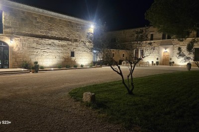 Cour extérieure d'une maison en pierre avec un arbre central, une véranda et des espaces aménagés sous un ciel dégagé.