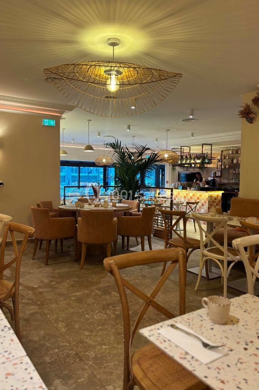 Salle de restaurant lumineuse avec tables en bois, chaises assorties, bar coloré et décoration moderne.