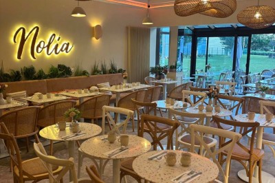 Nolia Nolia