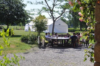 Miniature Location salle Broualan (Ille-et-Vilaine) - La Ferme du Domaine #12 Des poneys et une vache se reposent et broutent dans un pré clôturé, avec une cabane en bois en arrière-plan.