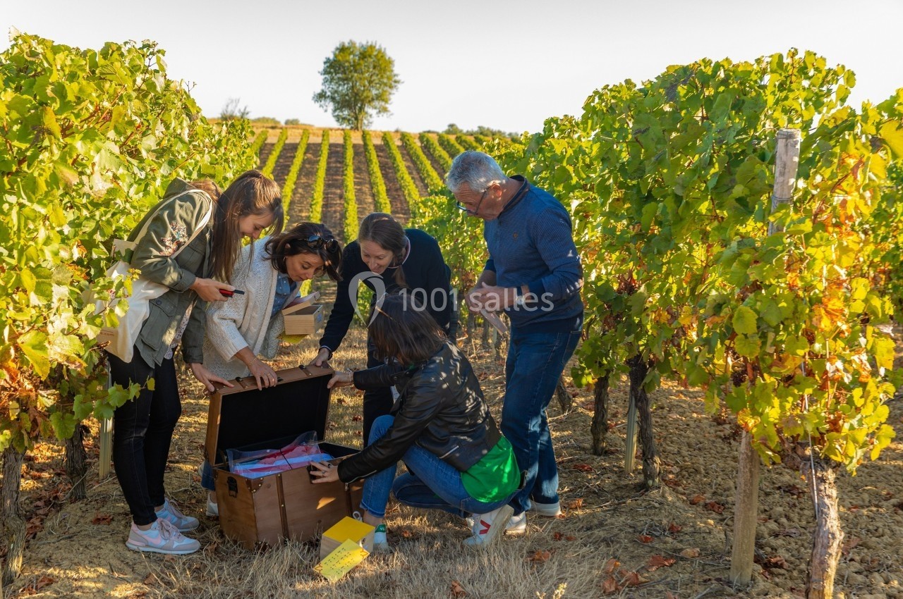 Un groupe de personnes explore une boîte ouverte au milieu de vignes ensoleillées.