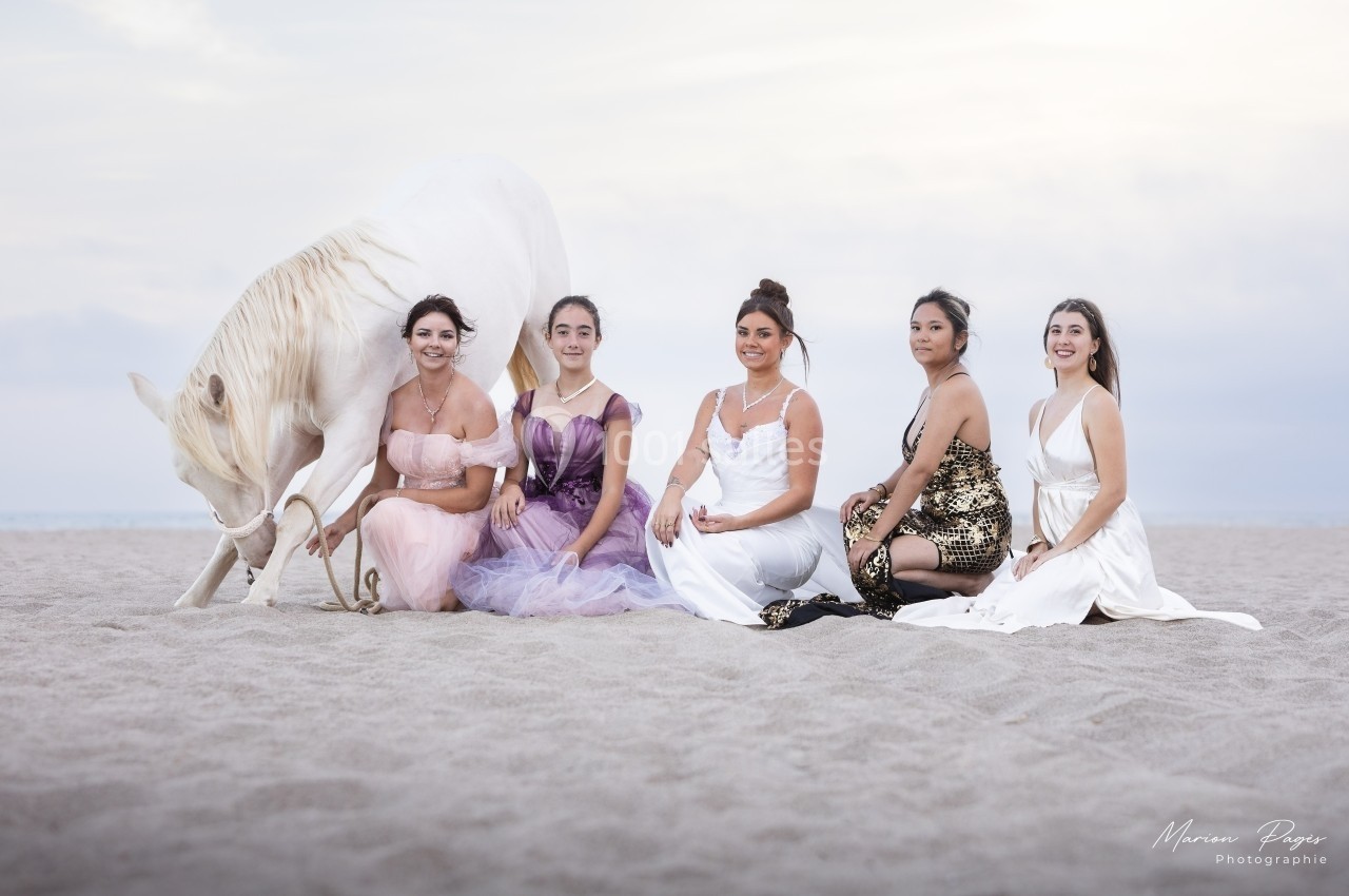 Cinq femmes en robes élégantes posent sur une plage avec un cheval blanc agenouillé sur le sable.