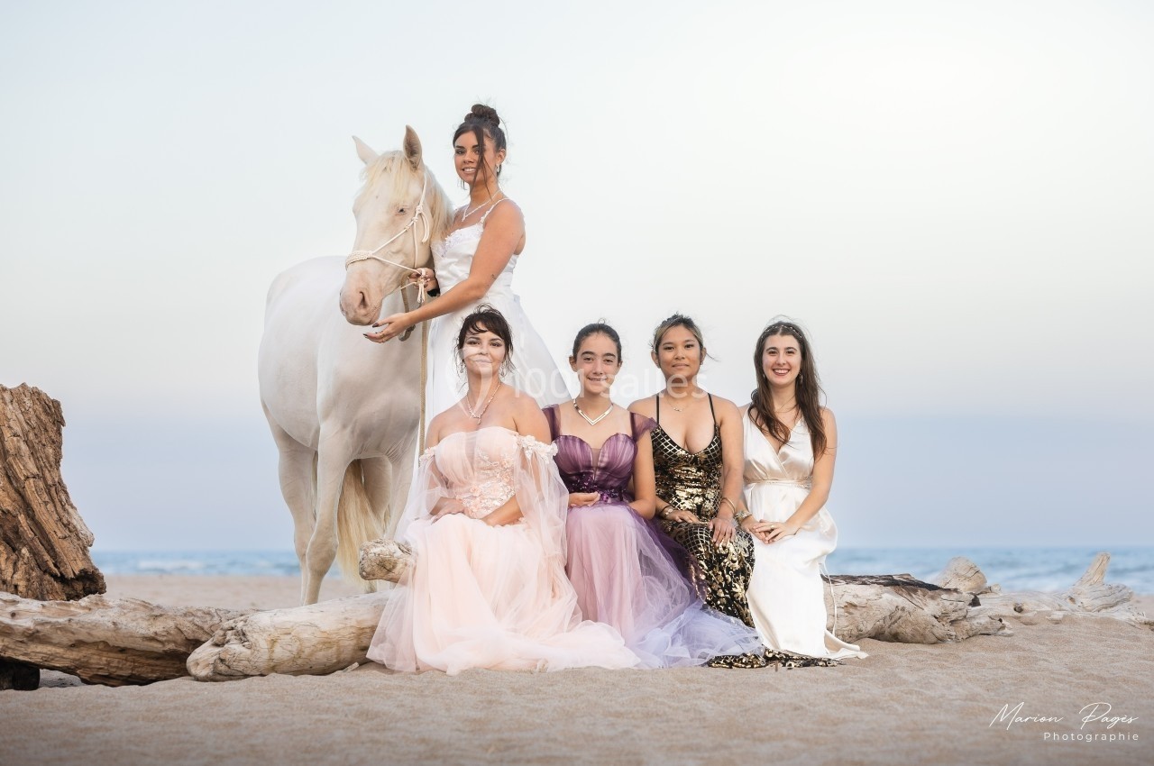 Cinq femmes en robes élégantes posent sur une plage avec un cheval blanc, entourées de bois flotté.