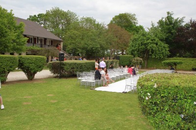 Assiette de crevettes grillées servies avec légumes et herbes fraîches, accompagnée de plats en arrière-plan.