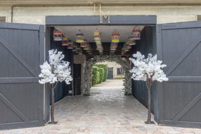 Assiette de crevettes grillées servies avec légumes et herbes fraîches, accompagnée de plats en arrière-plan.