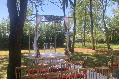 Assiette de crevettes grillées servies avec légumes et herbes fraîches, accompagnée de plats en arrière-plan.