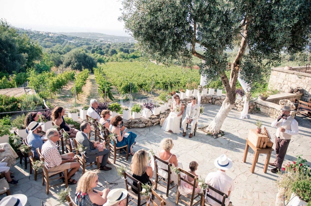 Cérémonie de mariage en plein air sous un olivier, avec des invités assis face à un paysage de vignobles.