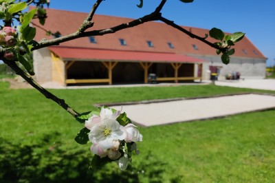 Miniature Location salle Lescherolles (Seine-et-Marne) - Le Domaine du Château Oublié #3 Champ recouvert de matière blanche sous un ciel bleu parsemé de nuages, bordé d'arbres et de haies.