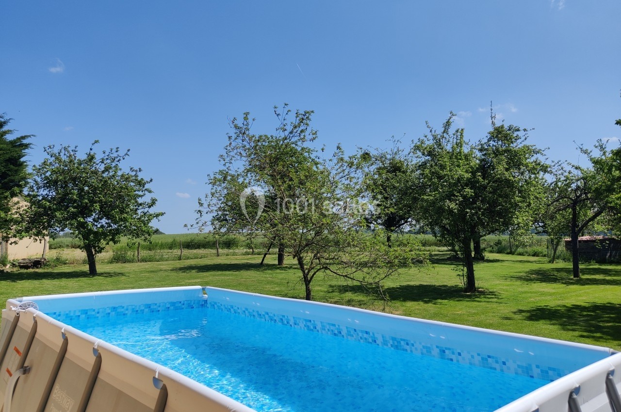 Piscine hors-sol remplie d'eau bleue dans un jardin verdoyant avec des arbres sous un ciel dégagé.