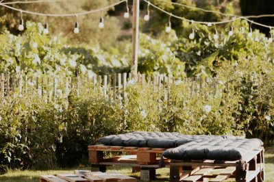 Miniature Location salle La Londe-les-Maures (Var) - Château Tour Saint Honoré #13 Un homme tenant un seau transparent rempli de bouteilles de vin rosé, en extérieur avec un fond flou de verdure.