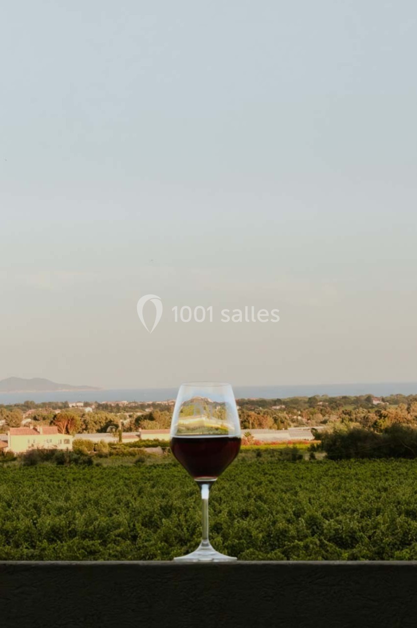 Un verre de vin rouge posé sur une balustrade avec une vue sur des vignobles et un paysage lointain.