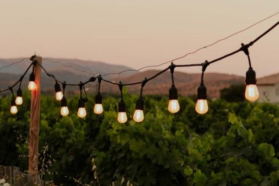 Miniature Location salle La Londe-les-Maures (Var) - Château Tour Saint Honoré #11 Un homme tenant un seau transparent rempli de bouteilles de vin rosé, en extérieur avec un fond flou de verdure.
