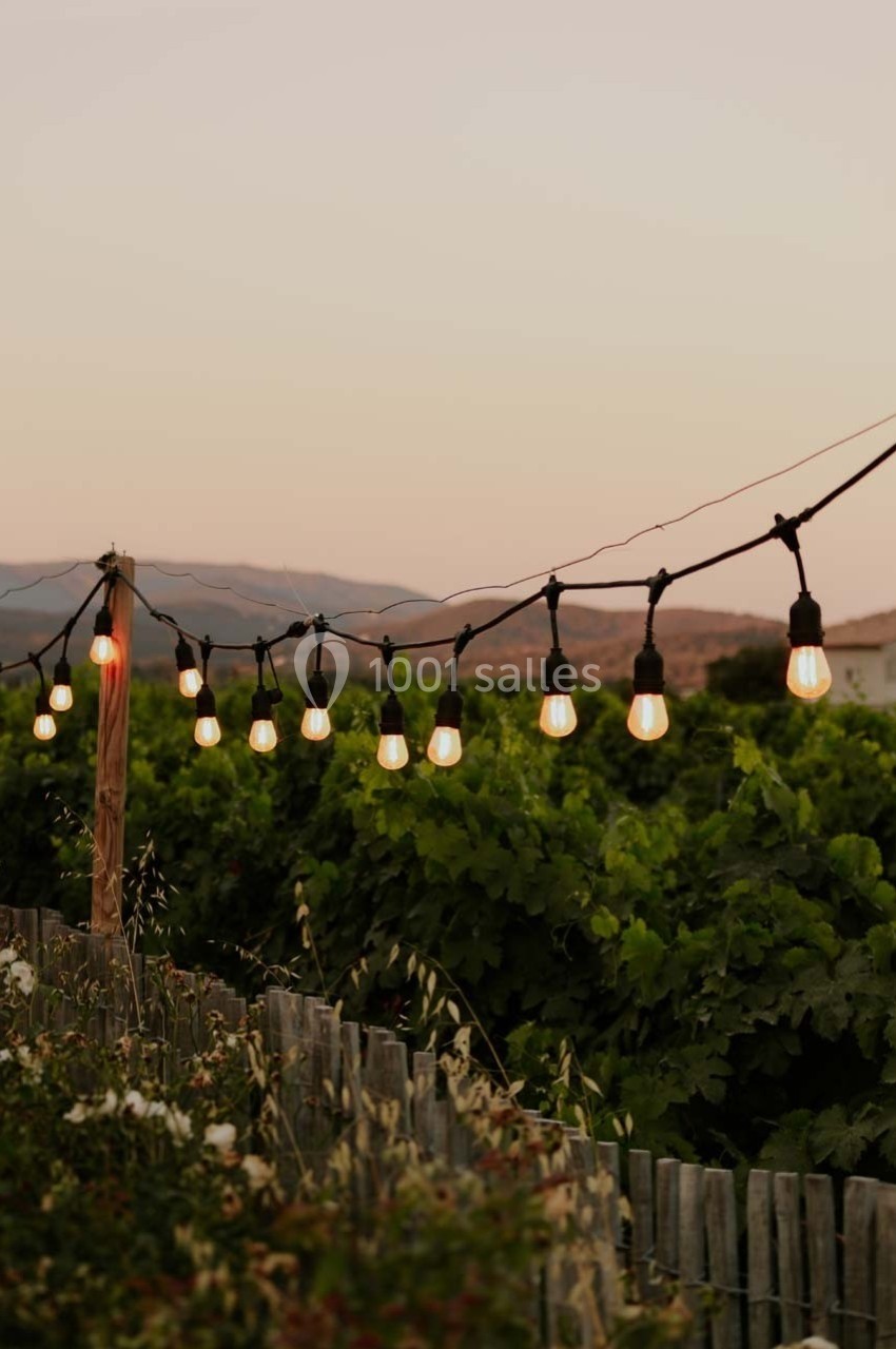 Guirlande d'ampoules suspendue au-dessus d'un jardin verdoyant au crépuscule, avec des collines en arrière-plan.