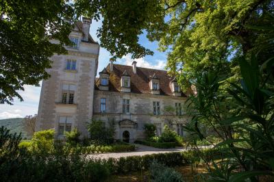 Façade d'un château en pierre entouré de végétation, avec un ciel bleu partiellement nuageux en arrière-plan.