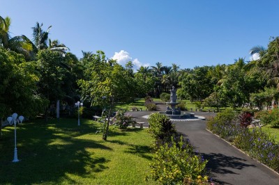 Allée extérieure éclairée la nuit, bordée de végétation et d'un bâtiment blanc avec des marquages au sol.